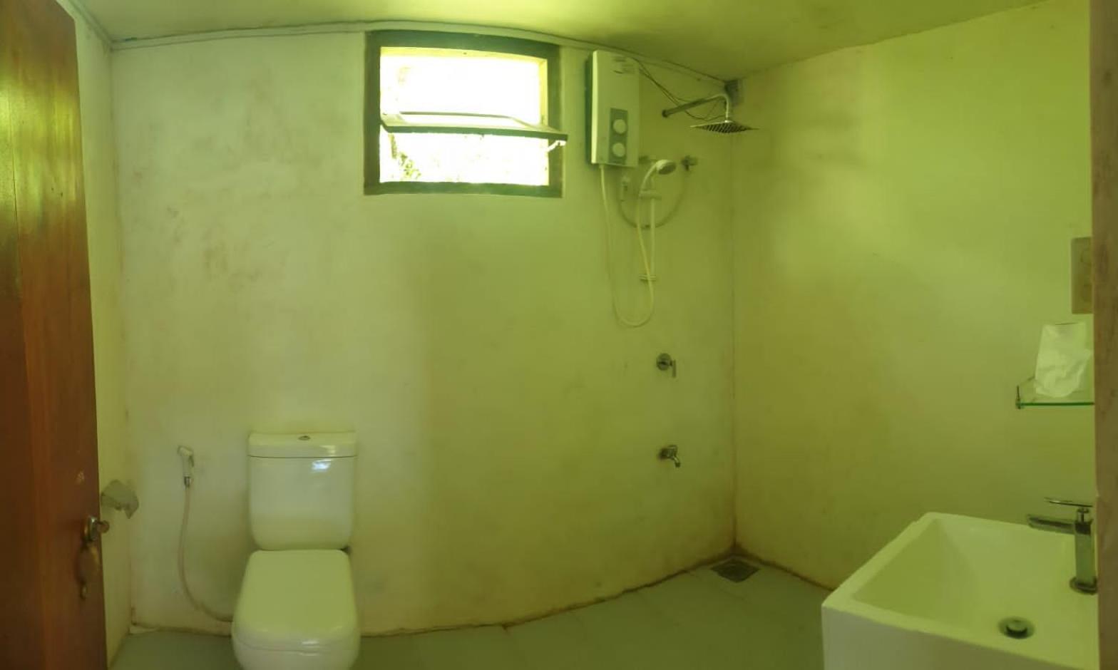 Sinharaja Hostel 114 Deniyaya Εξωτερικό φωτογραφία